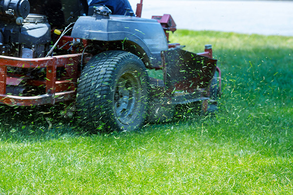 Lawn Mowing Lawn Mowing