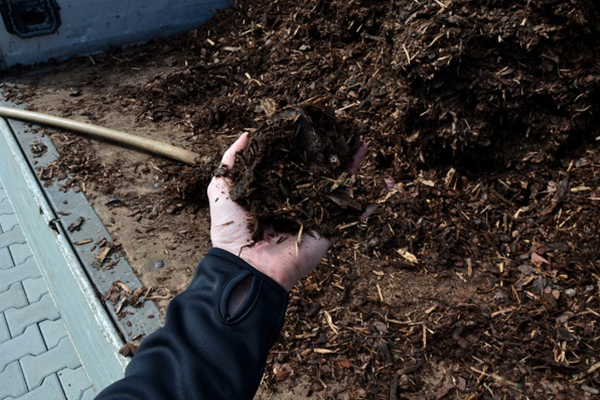 Mulching Mulching