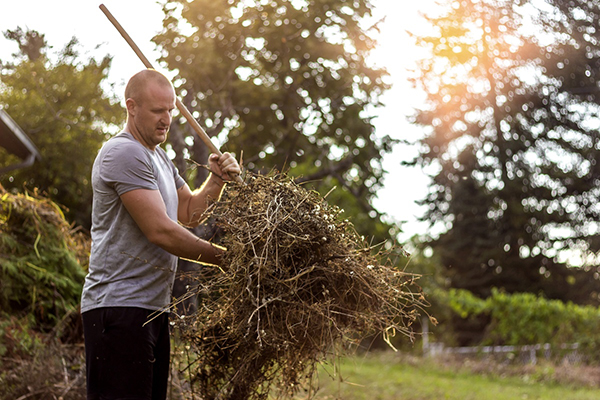 Yard Cleaning, Garbage Hauling, and Pressure Washing Yard Cleaning, Garbage Hauling, and Pressure Washing